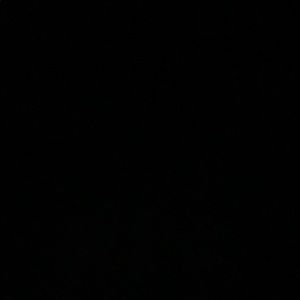 Meet your Posher, Logan